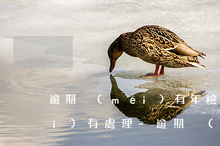 逾期沒(méi)有年檢顯示違章沒(méi)有處理-逾期沒(méi)有年檢顯示違章沒(méi)有處理怎么辦