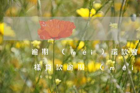 逾期沒(méi)還款會(huì)怎怎么樣(貸款逾期沒(méi)還會(huì)怎么樣)