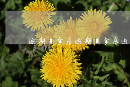 逾期沒拿房(逾期沒拿房 逾期費(fèi))