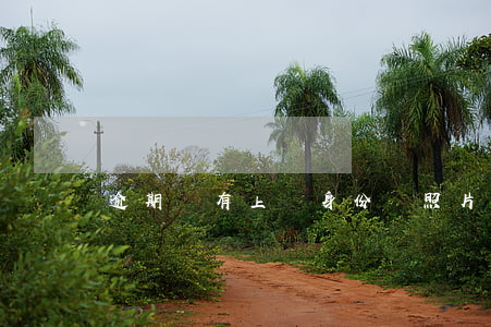 逾期沒有上傳身份證照片怎么辦-