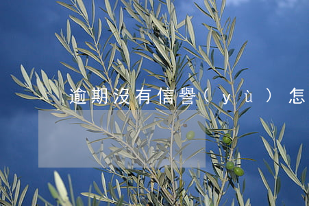 逾期沒有信譽(yù)怎么貸款