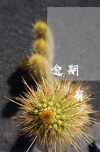 逾期沒有綁定的銀行卡扣錢嗎(花唄逾期會從沒有綁定的銀行卡里扣錢嗎)