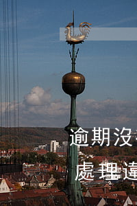 逾期沒有處理違章需要交滯納金-逾期沒有處理違章需要交滯納金嗎