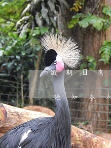 逾期沒有通知本人會收到信息嗎-逾期沒有通知本人會收到信息嗎怎么辦
