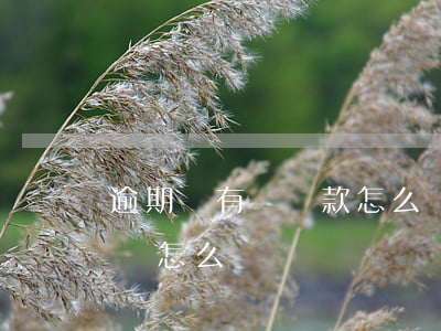 逾期沒有錢還款怎么辦(銀行貸款逾期了沒錢還怎么辦)