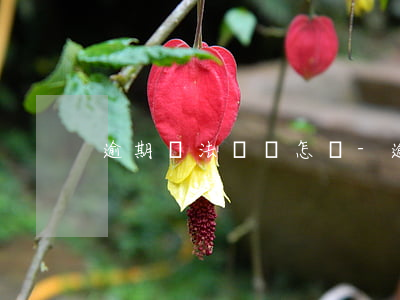逾期沒法還會怎樣-逾期半年沒錢還怎么辦