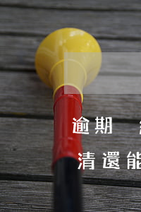 逾期沒結(jié)清還能貸款嗎(逾期已還清還能貸款嗎)