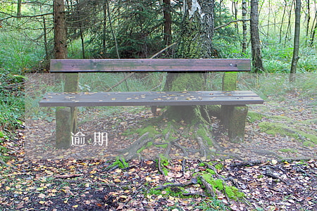 逾期沒給車