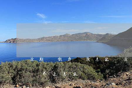 逾期沒能力還款怎么辦(逾期實(shí)在還不上怎么辦)