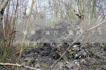 逾期沒能力還被起訴了怎么辦 逾期20多萬目前沒有能力償還怎么辦