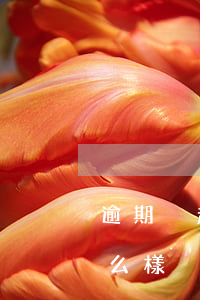 逾期沒超過三個月法院會催嗎(逾期3天會怎么樣)