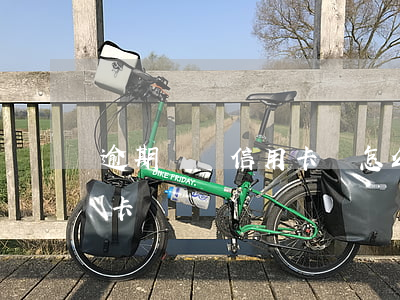 逾期沒還信用卡錢怎么處理-逾期未還信用卡