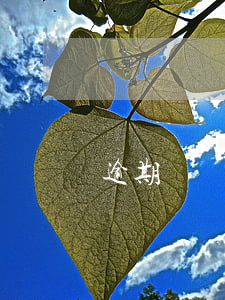 逾期沒還款屬于什么(什么情況屬于逾期還款)