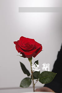 逾期沒還款會上征信嗎(逾期沒上征信算逾期嗎)