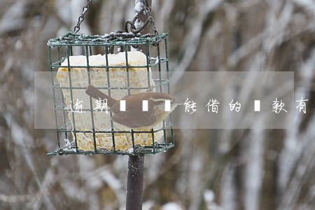 逾期沒還還能借的貸款(有逾期還能貸款嗎)