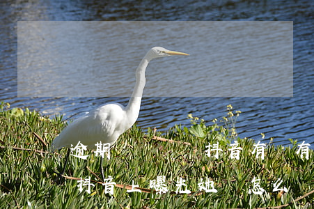 逾期沒錢還對抖音有沒有影響-欠錢不還在抖音上曝光她會怎么樣