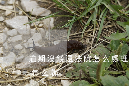 逾期沒錢還法院怎么處理-欠款逾期沒錢還怎么辦