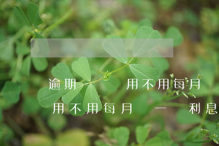 逾期沒錢還 用不用每月還一點-逾期沒錢還 用不用每月還一點利息