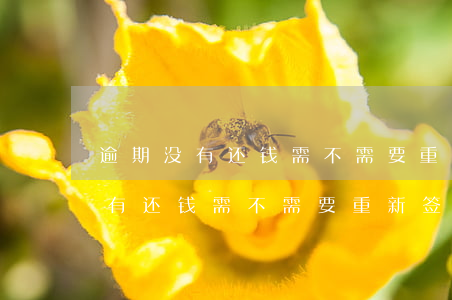 逾期没有还钱需不需要重新签合同-逾期没有还钱需不需要重新签合同