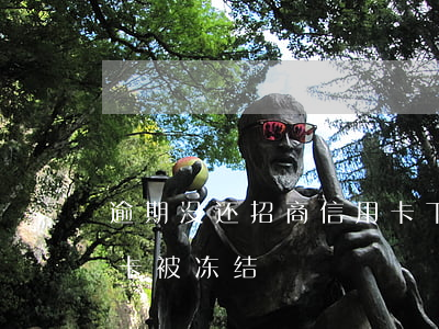 逾期没还招商信用卡下卡了(招商没逾期信用卡被冻结)