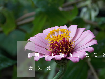 逾期没还起诉了会怎么办(逾期的多久不起诉会失效)