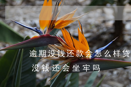 逾期没钱还款会怎么样(贷款逾期了怎么办又没钱还会坐牢吗?)