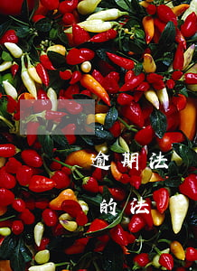 逾期法務協商辦成才收費靠譜嗎(逾期找專門的法務團隊協商有用嗎)