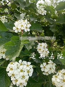 逾期法院一般寄來(lái)的文件是啥 快遞說(shuō)有法院寄來(lái)的文件