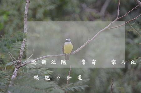 逾期法院傳票寄給家人 法院傳票寄回老家,壓根就不知道