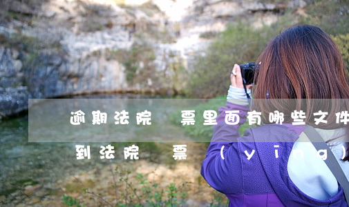 逾期法院傳票里面有哪些文件-借款逾期收到法院傳票應(yīng)該怎樣處理