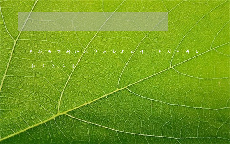 逾期法院判决没钱还会怎么样-逾期起诉没钱还怎么办