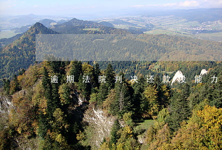 逾期法院判决还款没能力还怎么办