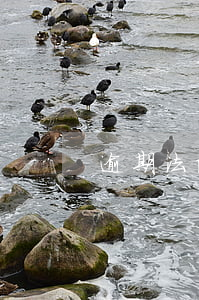 逾期法院受理怎么辦(逾期法院受理怎么辦)