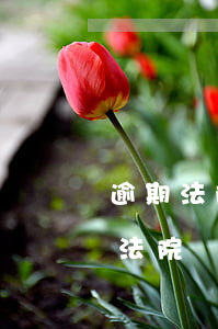 逾期法院執(zhí)行可以撤回嗎 逾期被法院執(zhí)行了怎么還