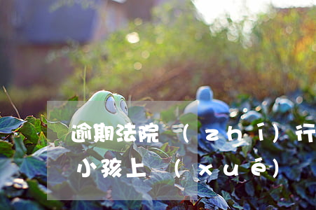 逾期法院執(zhí)行會(huì)影響小孩上學(xué)嗎(強(qiáng)制執(zhí)行會(huì)影響孩子上學(xué)嗎)