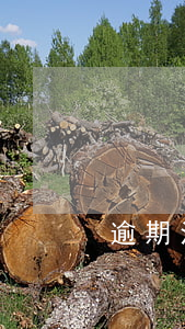 逾期法院如何處理辦法(逾期處理方法)