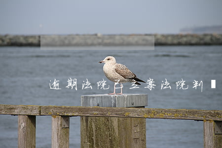 逾期法院已立案(法院判決逾期)