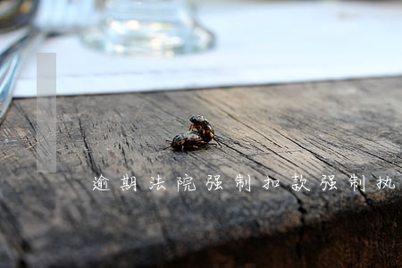 逾期法院强制扣款(强制执行扣款)