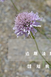 逾期法院是怎么通知本人的(逾期法院會打電話給我嗎)