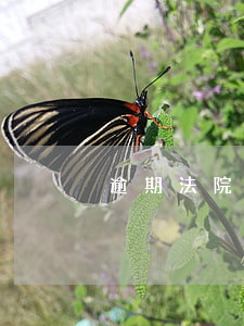 逾期法院會介入嗎(逾期會上法院嗎)