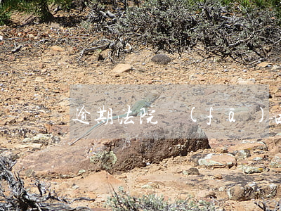 逾期法院發(fā)函查封 法院查封通知