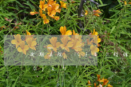 逾期法院發(fā)短信-逾期法院給你發(fā)驗證碼