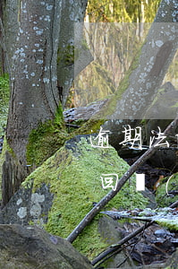 逾期法院立案回執(zhí) 逾期法院立案回執(zhí)