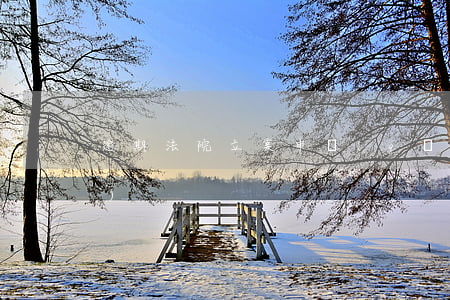 逾期法院立案申請(qǐng)書(shū)