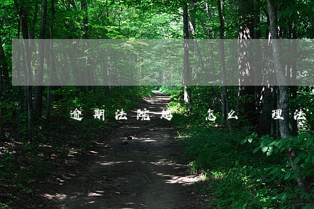 逾期法院起訴怎么處理（法院判決逾期了怎么辦）