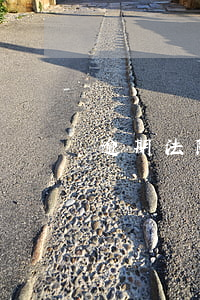 逾期法院起訴怎么處理(逾期起訴了怎么辦)