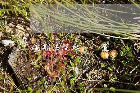 逾期法院起訴處置資產(chǎn)
