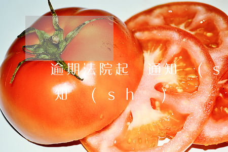逾期法院起訴通知書(shū)(逾期立案通知書(shū))