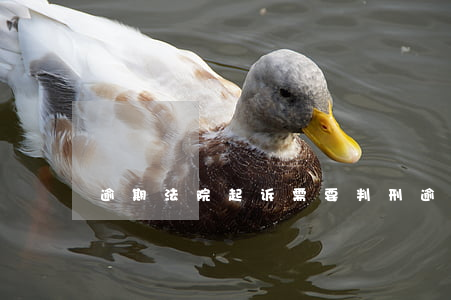 逾期法院起诉需要判刑(逾期了法院起诉)