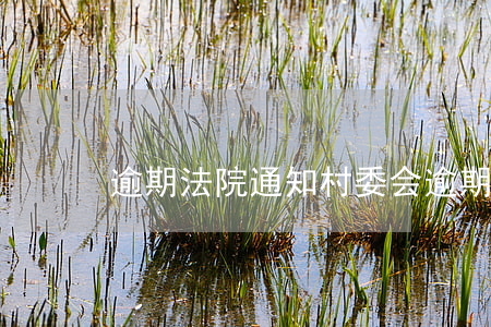 逾期法院通知村委会(逾期找村委会)